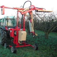 Orchard pruning