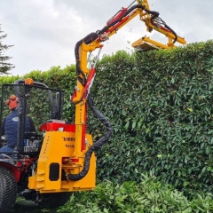HEDGE TRIMMING