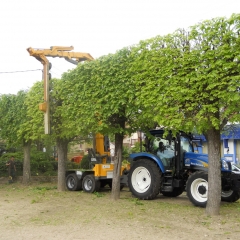 Pruning equipment with cutting in vertical back